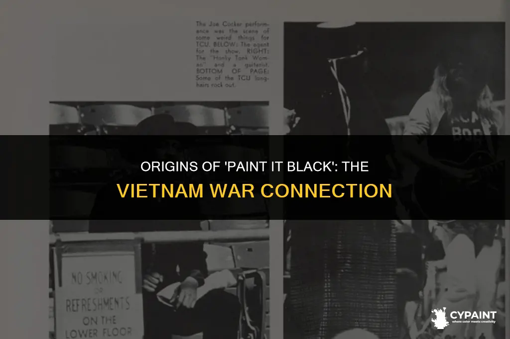 what war did the song paint it blaack come from