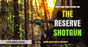 Effective War Paint Combinations for Reserve Shotgun in Combat Scenarios