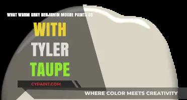 Exploring Warm Gray Benjamin Moore Paints That Complement Tyler Taupe