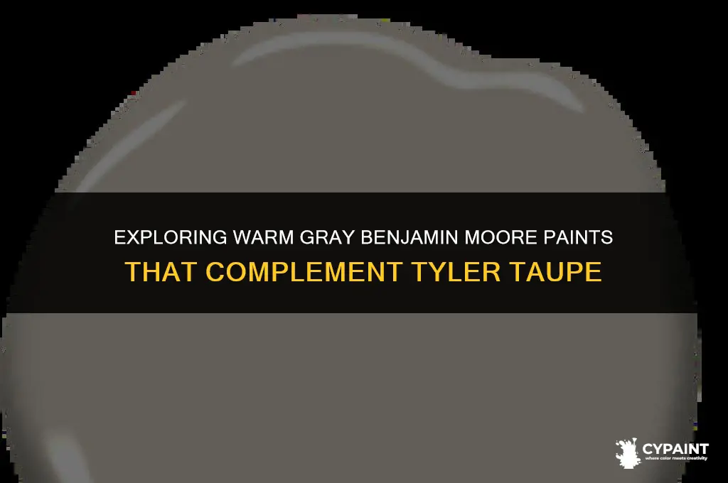 what warm gray benjamin moore paints go with tyler taupe