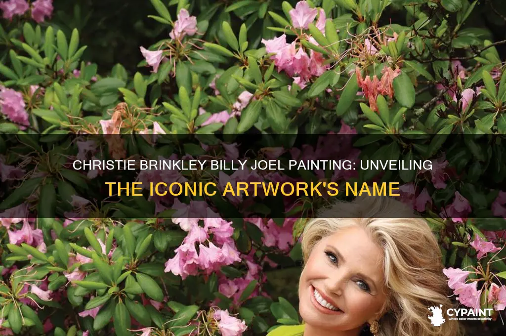 what was christie brinkley billy joel painting name
