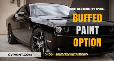 Chrysler's Exclusive Buffed Paint Option: A Deep Dive into Its History