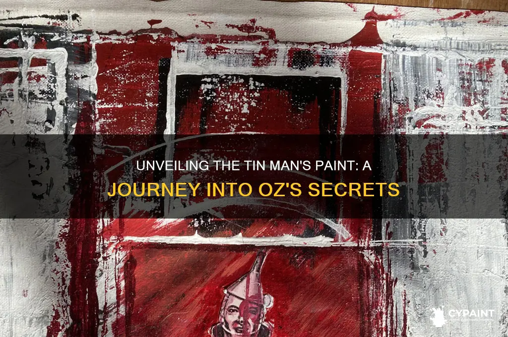 what was in the tin man