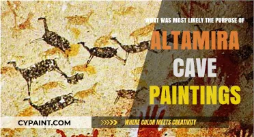 Unlocking the Secrets of Altamira: A Journey into Prehistoric Art