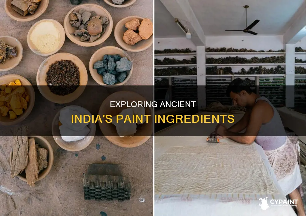 what was paint made of in the idian times