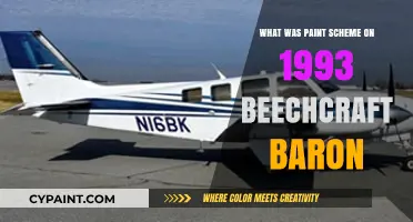1993 Beechcraft Baron: Unveiling Its Classic Paint Scheme Design
