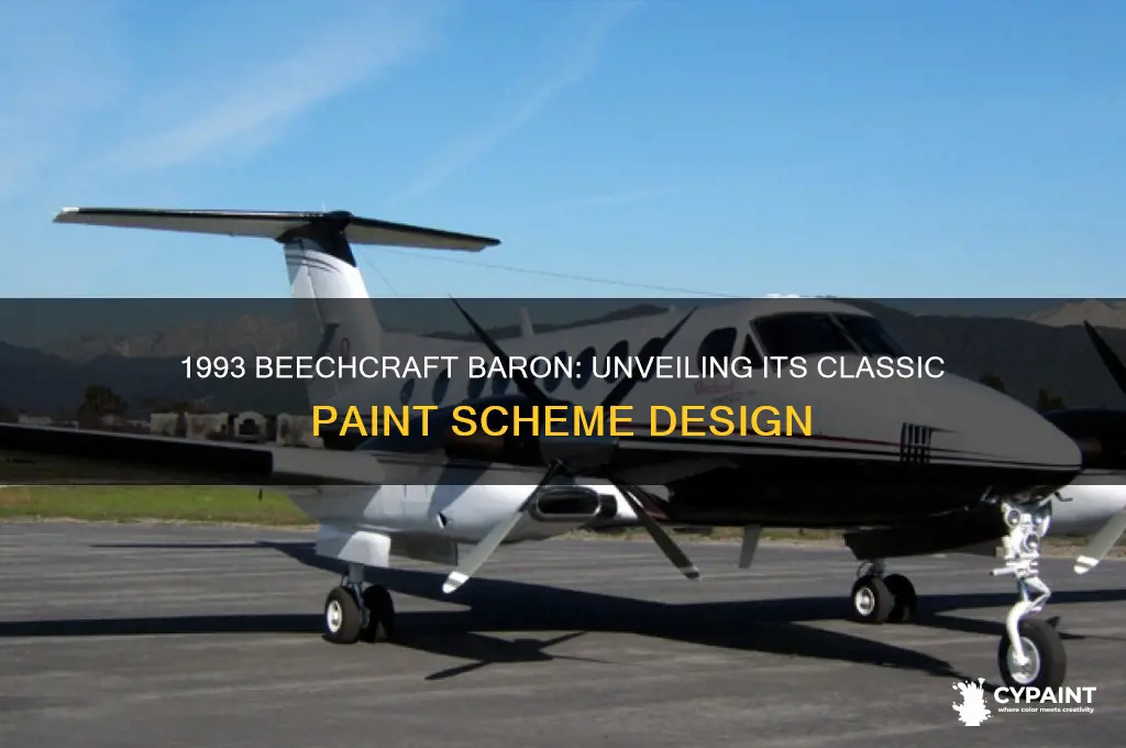 what was paint scheme on 1993 beechcraft baron