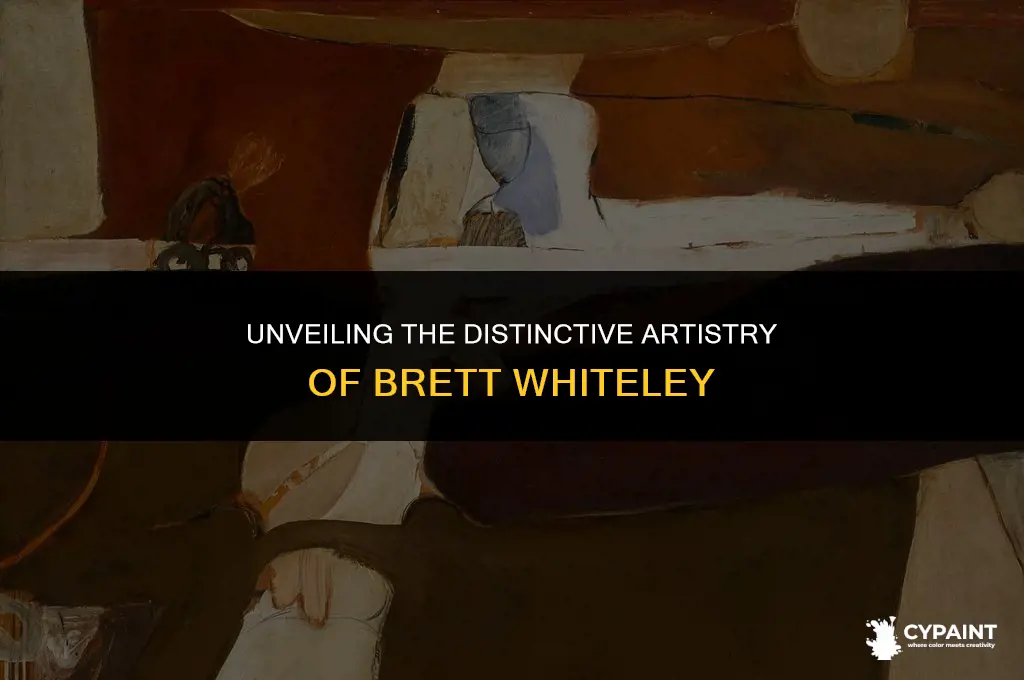 what was so uniqe about brett whiteley s painting style