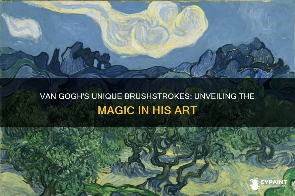 what was special about vincent van gogh paintings