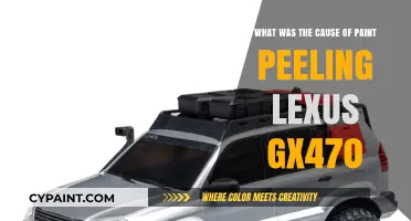Lexus GX470 Paint Peeling: Why it Happens