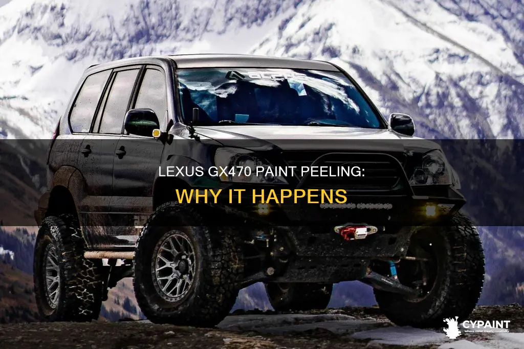 what was the cause of paint peeling lexus gx470