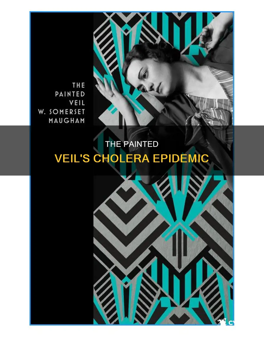 what was the disease in the movie painted veil