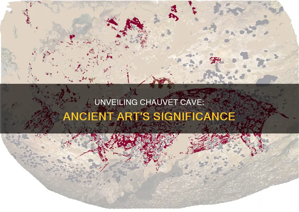 what was the importance of the chauvet cave paintings