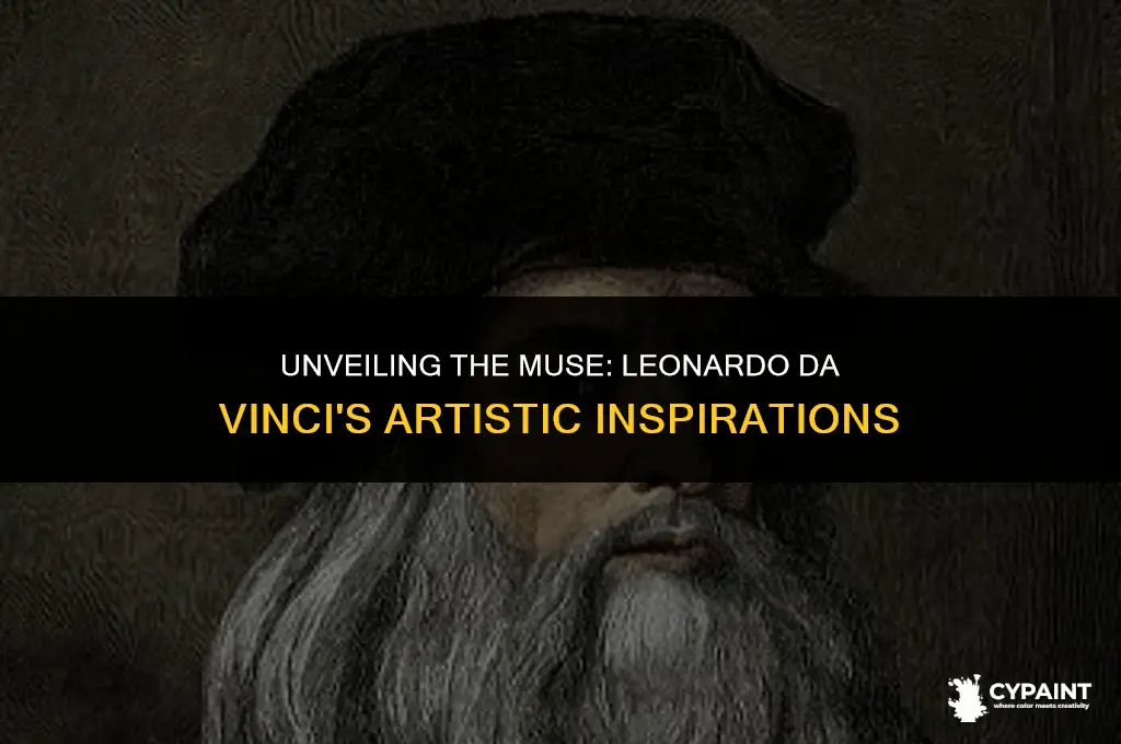 what was the inspiration behind leonardo da vinci