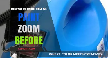 Paint Zoom's Monthly Price: A Costly Surprise
