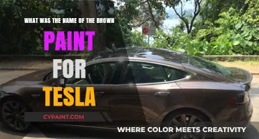Unveiling Tesla's Signature Brown: A Paint Color Mystery Solved