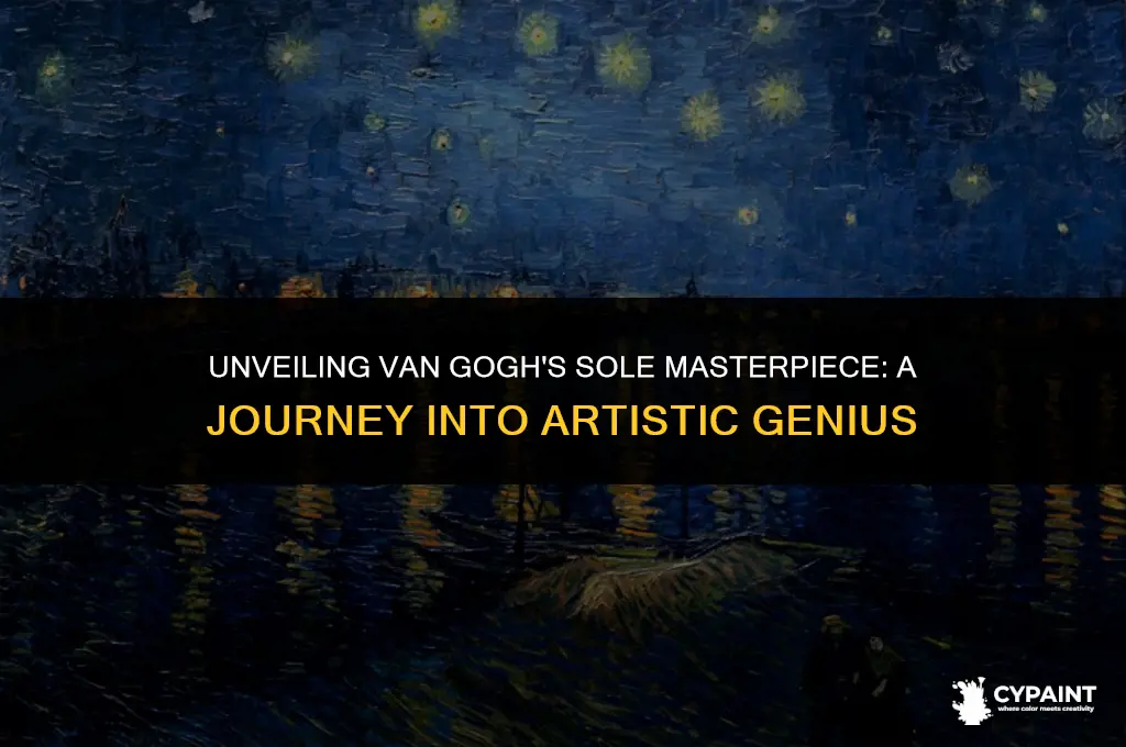 what was the one painting that vincet van gogh panted