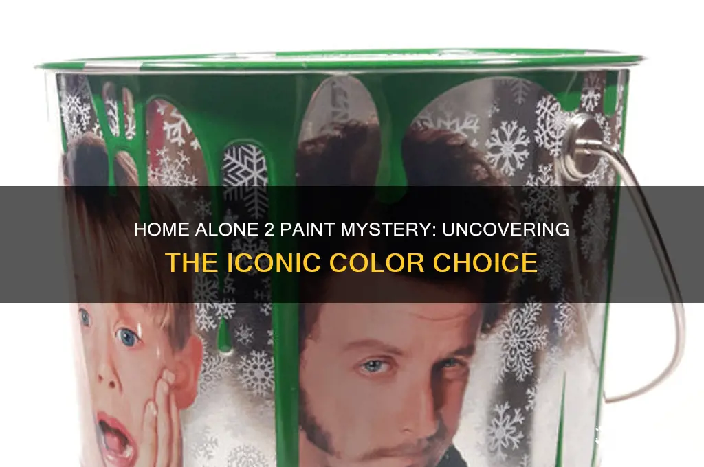 what was the paint in home alone 2