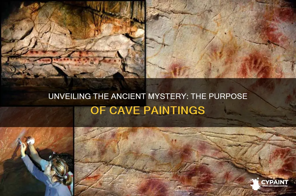 what was the purpose of cave paintings