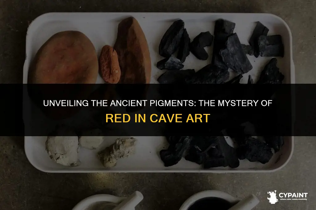 what was the red paint of cave paintings mad eof