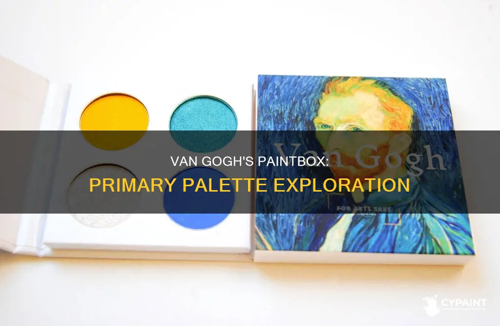 what was vincent van gogh