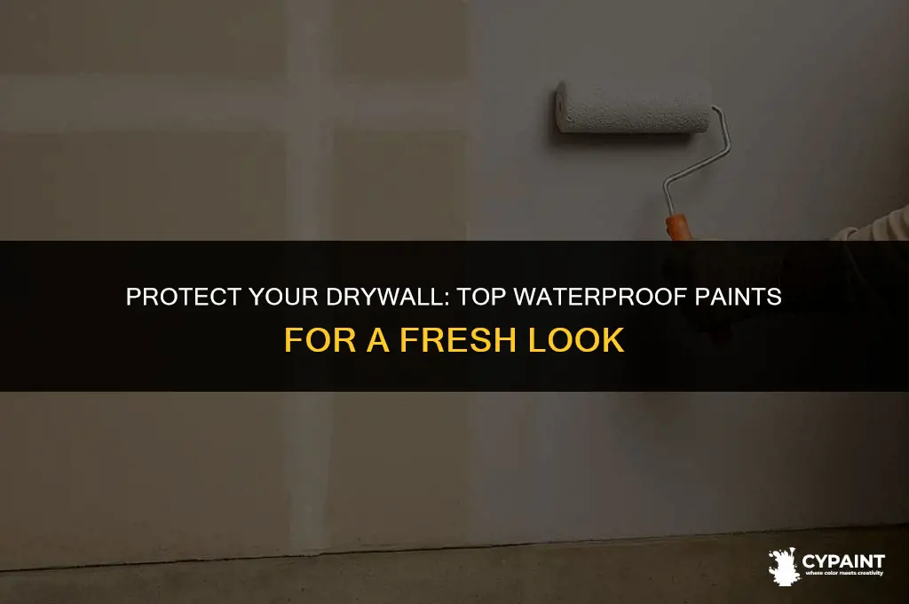 what waterproof paint can be applied to drywall