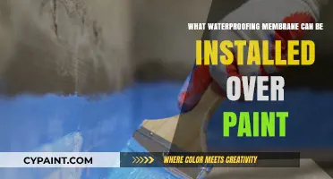 Enhancing Durability: Waterproofing Membranes for Painted Surfaces