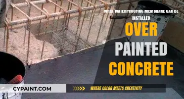 Waterproofing Membranes: Options for Painted Concrete Surfaces