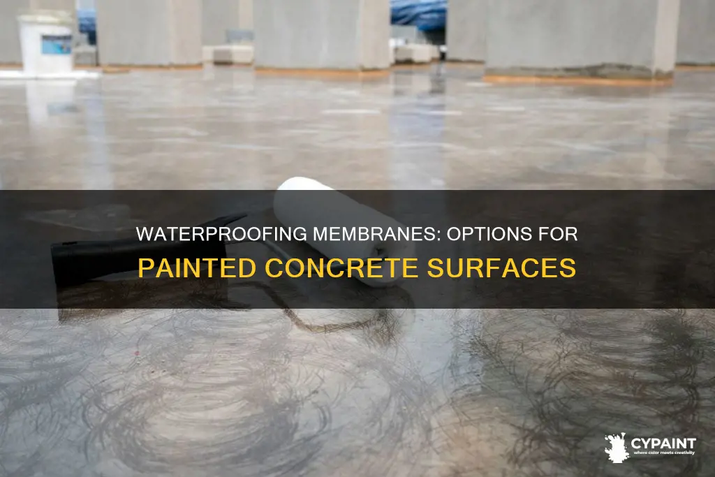what waterproofing membrane can be installed over painted concrete