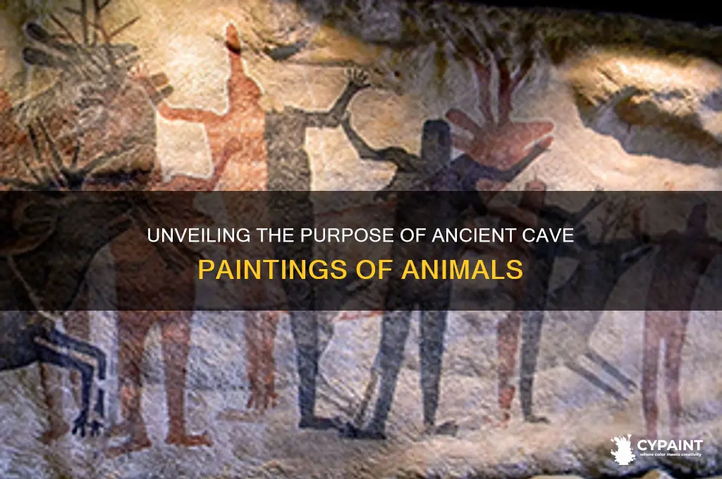 what were cave paintings of animals meant for
