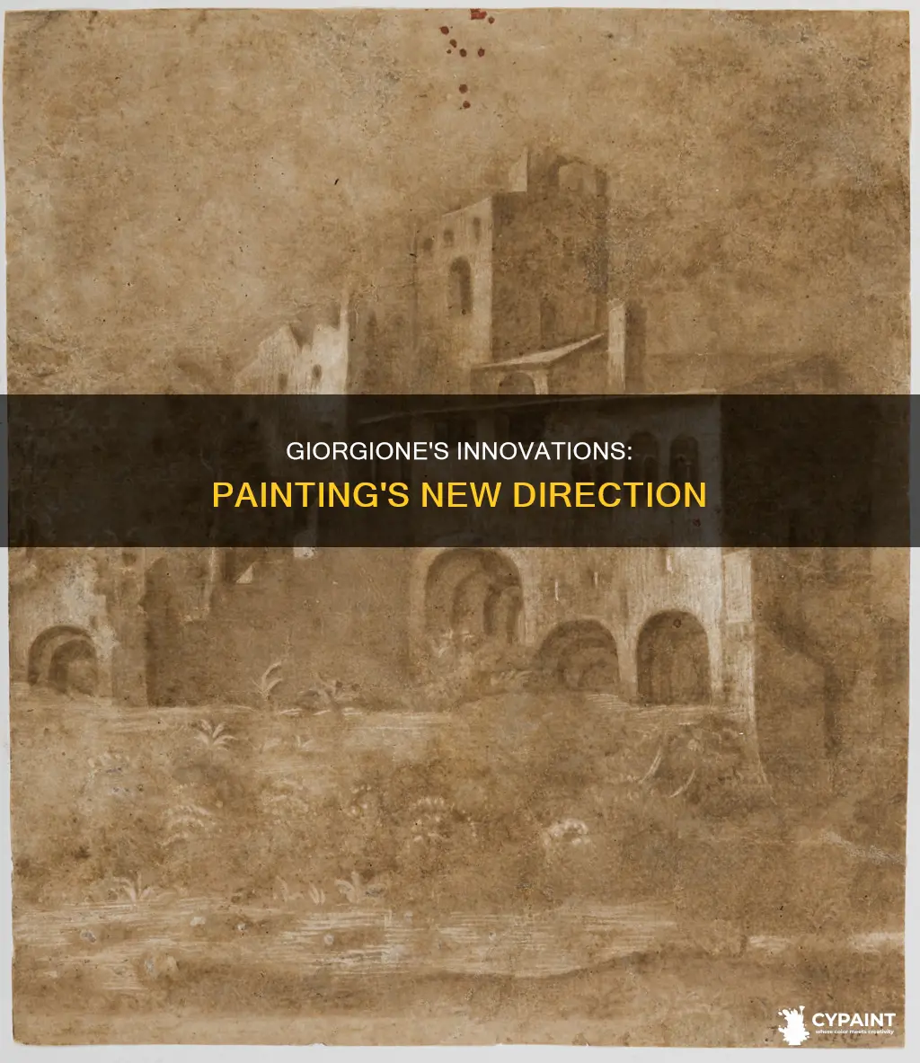 what were giorgione