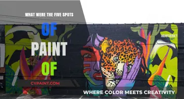 Unveiling the Mystery Behind the Five Spots of Paint
