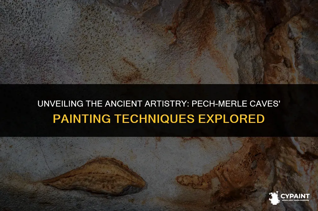 what were the painting techniques for the pech-merl caves