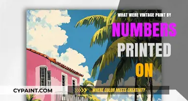 Unveiling Vintage Paint by Numbers: Surfaces and Materials Explored