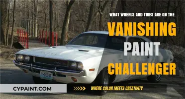 Exploring the Mysterious Wheels and Tires of the Vanishing Paint Challenger