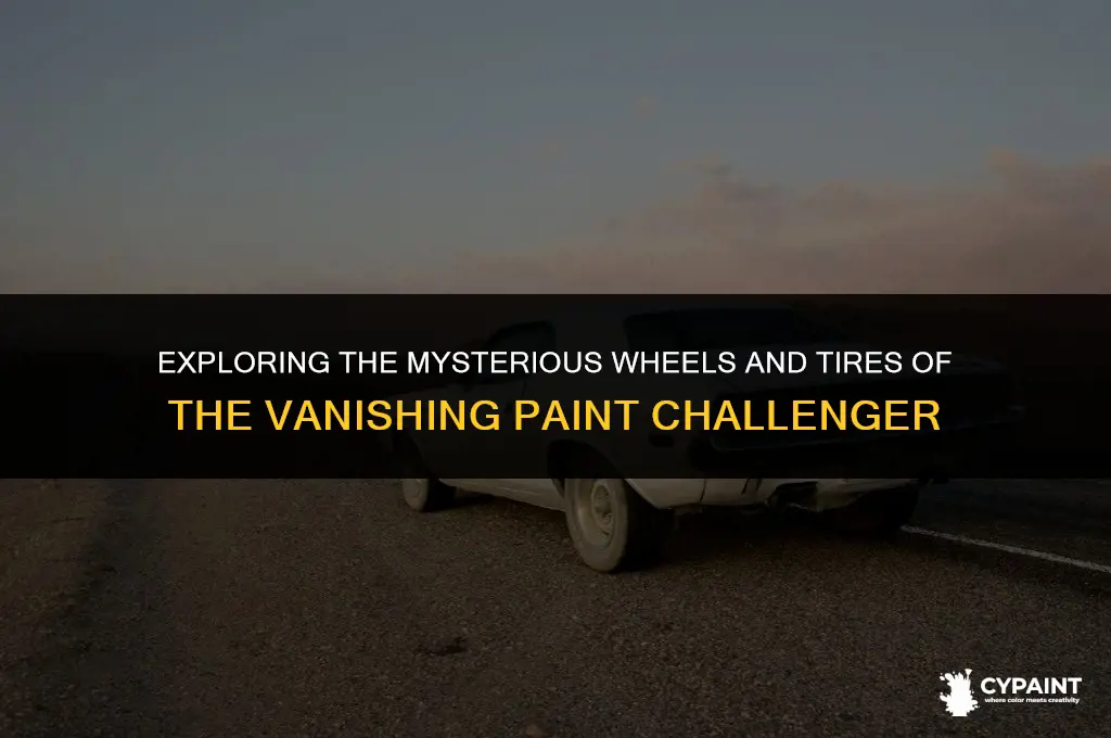 what wheels and tires are on the vanishing paint challenger