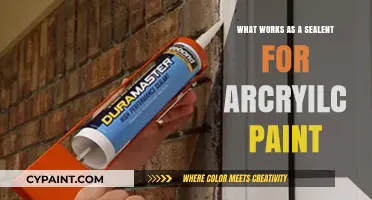 Effective Sealants for Acrylic Paint: Top Options and Application Tips
