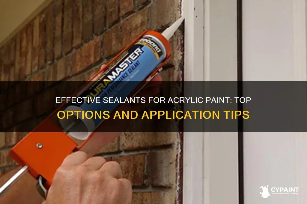 what works as a sealent for arcryilc paint