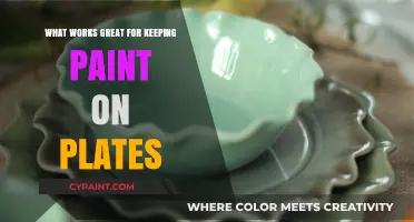 Effective Tips for Long-Lasting Paint on Ceramic Plates