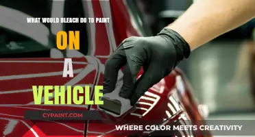 Bleach on Car Paint: What Happens?