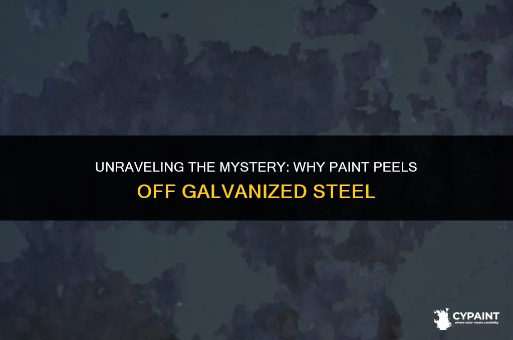 what would cause paint to peel off of galvanized steel