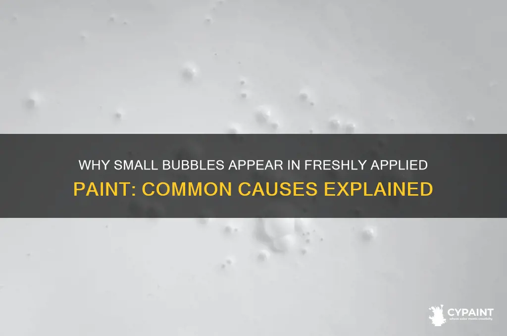 what would cause small bubble in new paint