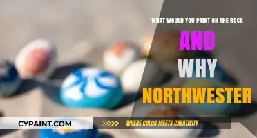 Unleashing Creativity: What Would You Paint on the Rock and Why Northwestern?