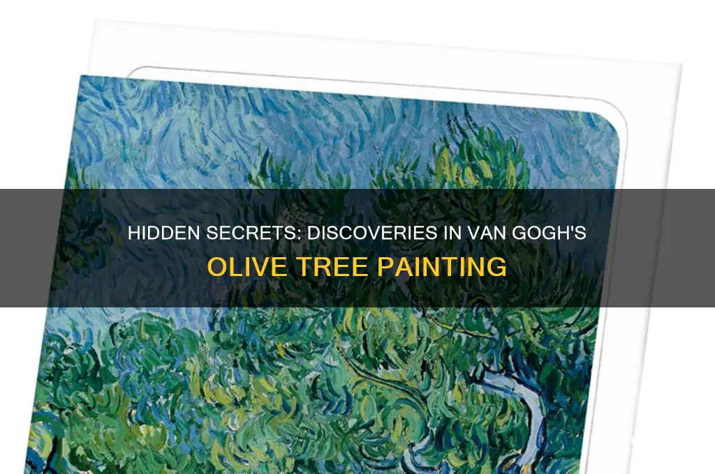 what ws found in vangohs painting olive tree