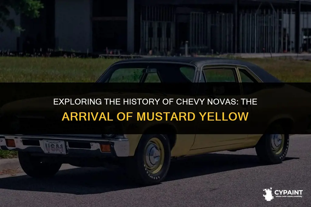 what year did cevy novas come with mustarf yellow paint