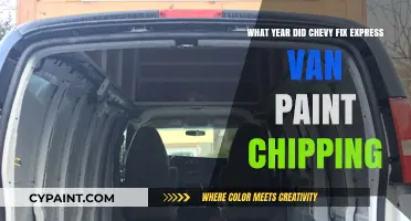 Chevy Express Van: Paint Chipping Fix Year