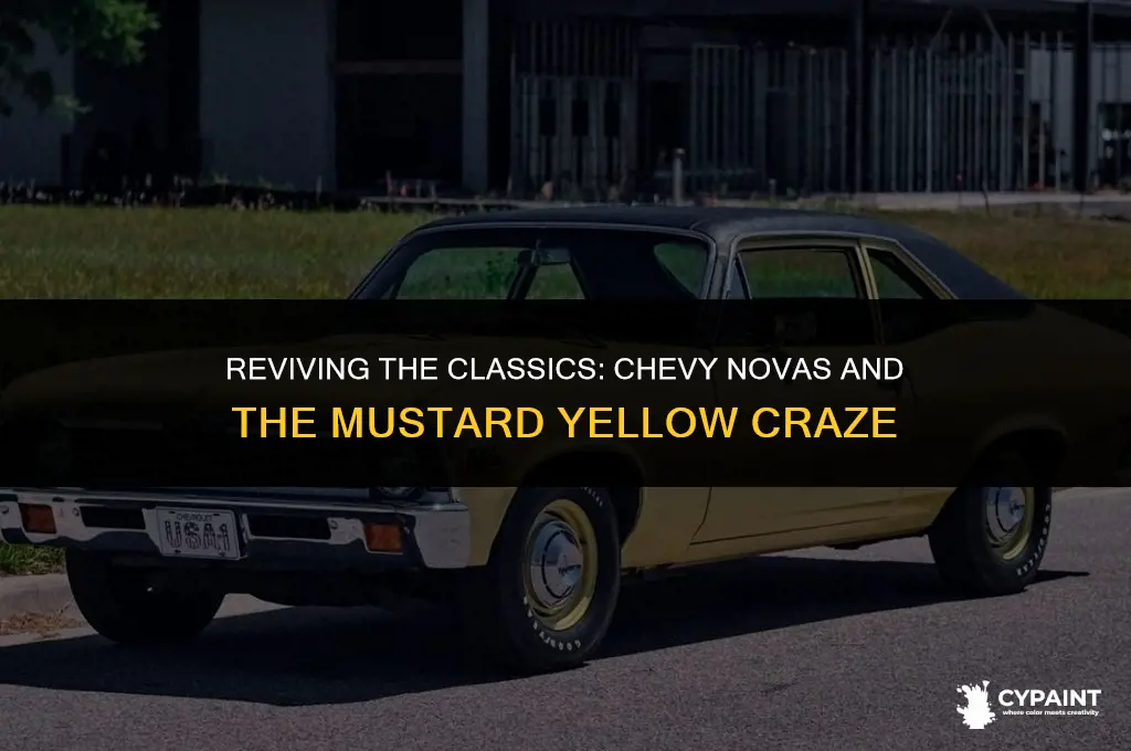 what year did chevy novas come with mustard yellow paint
