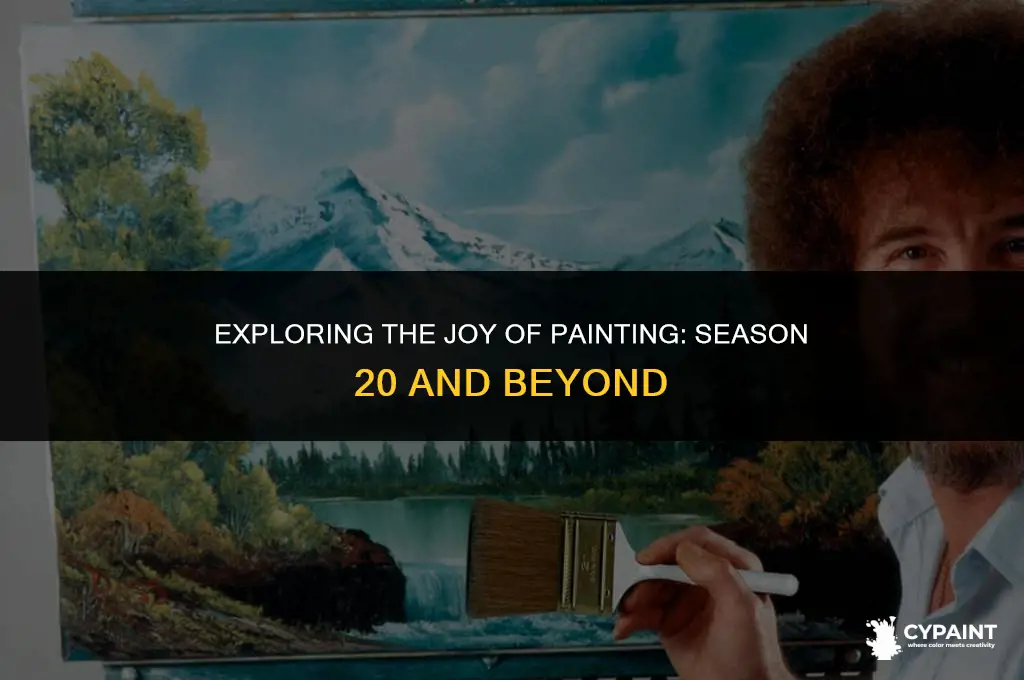 what year was season 20 of the joy of painting