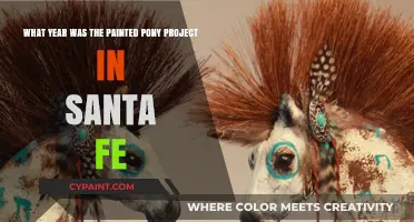 Exploring the Painted Pony Project's Arrival in Santa Fe
