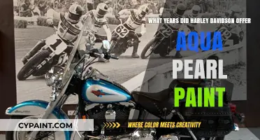 Harley-Davidson's Aqua Pearl Paint: Offer Years and More